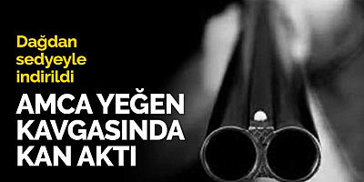 Yeğeninin vurduğu amca yaralandı